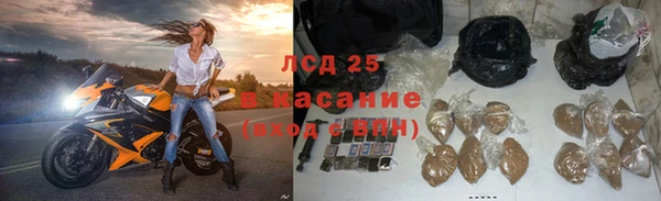 дмт Белокуриха