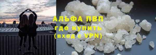 дмт Белокуриха