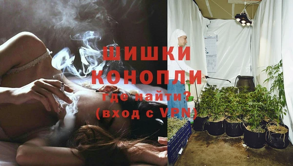 дмт Белокуриха