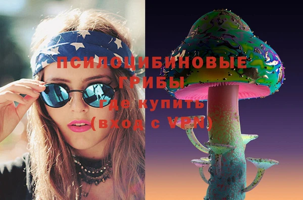 дмт Белокуриха