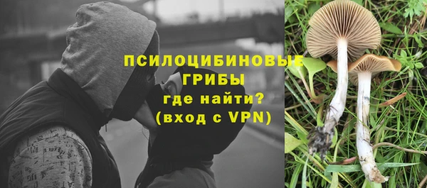 прущая мука Беломорск